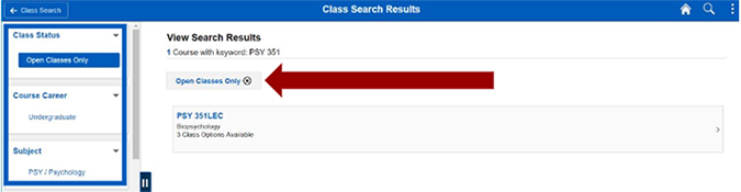 Screenshot of class information results link.
